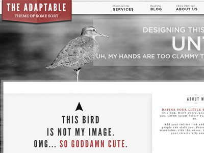 The Adaptable bw clean grey red theme web web design website