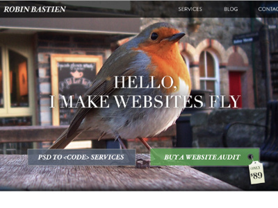 Websites Can Fly bird design homepage psd web