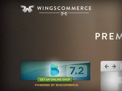 WingsCommerce 1 homepage web web design