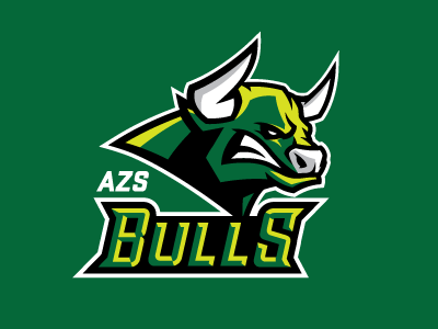 Bulls Typo bull logo sport