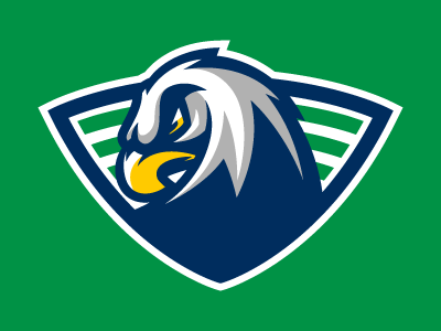 Eagles Revision branding eagle eagles k 12 logo sport sports