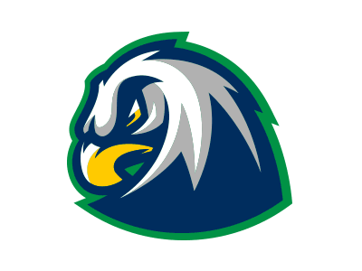 CCS Eagles Progress bird branding eagles fierce k 12 logo mascot school sports