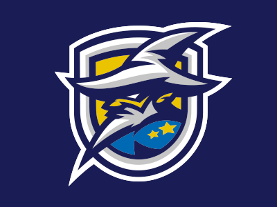 Wizards Logo mascot sport sportbranding sports sportsbranding wizard wizards