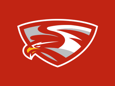 Eagle Concept 1 branding eagle eagles logo mascot sport sports