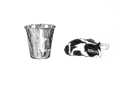 CatBin illustration ink drawing sketch