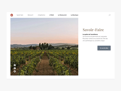 Vinyard design inspiration layout ui ui ux ux vinyard web webdesign wine