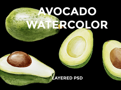 Avocado Watercolor avocado avocado illustration avocado watercolor creative market food food illustration food watercolor fruit watercolor graphics illustration watercolor