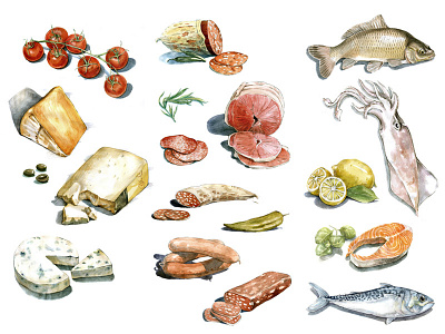 Food illustration set food