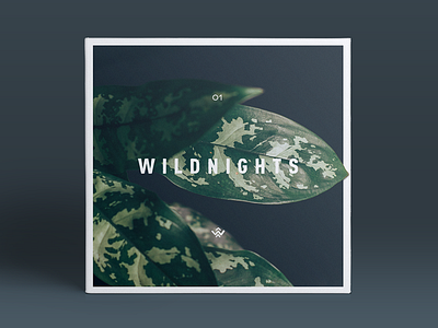 Wildnights CD Cover blue cd cover frame green leaf nature white wild