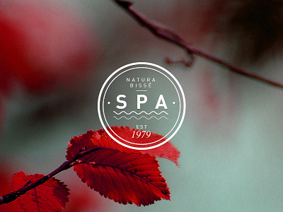 Concept 03 cosmetic date logo natura nature spa typography
