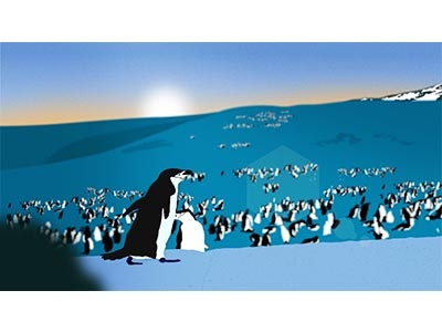 Penguin Styleframe animal bird blue cell character gradient ice illustration landscape mountains penguin sunset