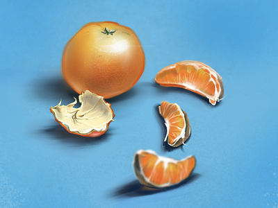 Mandarin art artdesign artwork design digital art digital painting fruits illustration mandarin ui