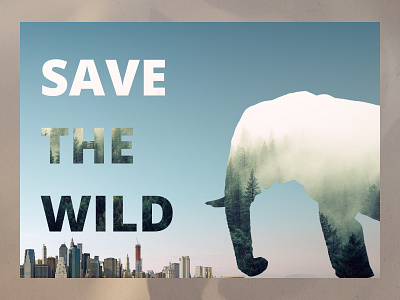 Save the wild design graphic design illustration ui ux