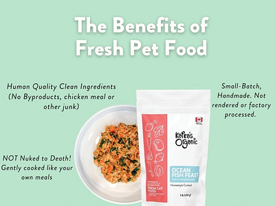 Benefits of Fresh Pet Food graphic design