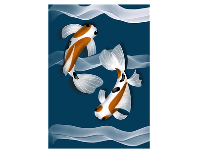 TWIN KOI FISH adobeillustrator animation digitalart illustration vector