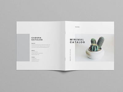 Minimal Square Catalog