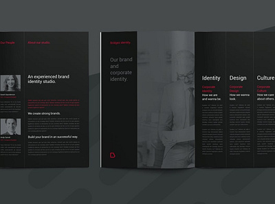 Brand Manual a4 agency book brand brochure colors corporate editorial guide guideline identity indesign layout magazine manual minimal professional swiss typography us