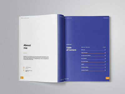 Company Annual Report Template agency analytics annual annual report brochure business companies company corporate design document elegant indesign profile report simple startup stationery statistic team