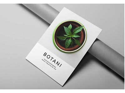 Botani Lookbook / Magazine a4 botani botanic brochure template brochures elegant flora floral folio indesign letter lookbook lookbook template magazine magazine template minimal photography portfolio simple template