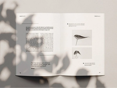 Hezel Nut - Magazine Template a4 annual booklet brand identity brochure catalog company corporate design identity layout magazine magazine template newsletter page presentation promotion report web website