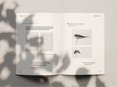 Hezel Nut - Magazine Template