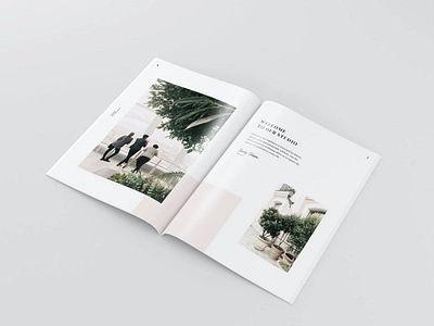 Portfolio Book book brochure brochure template cv design designer feminine graphic graphic design indesign lookbook minimal photographer photography portfolio portfolio book portfolio template profile profile design template