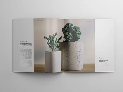 Portfolio / Catalog Template brand brand identity brochure catalog catalogue company editorial fashion indesign layout lookbook magazine media minimal modern multipurpose portfolio product square template