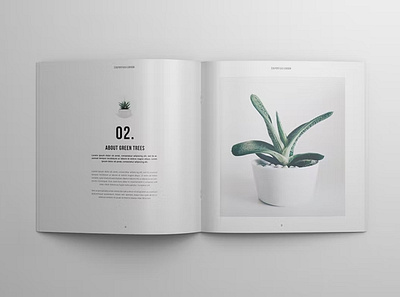 Portfolio / Catalog Template brand brand identity brochure catalog catalogue company editorial fashion indesign layout lookbook magazine media minimal modern multipurpose portfolio product square template