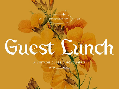 Free Guest Lunch Display Font