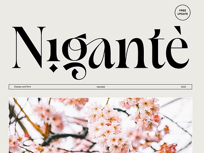 Nigante Display Font