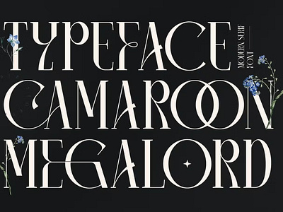 Free Camaroon Megalord Serif Font