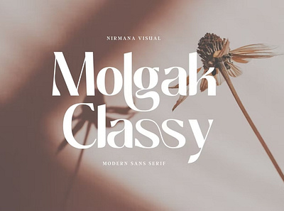 Free Molgak Classy - Wedding Font calligraphy display font display typeface elegant font font font awesome font family fonts handwritten lettering modern font modern fonts sans serif sans serif font script serif font type typedesign typeface vintage font