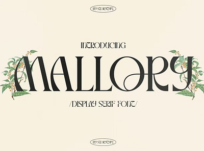 Free Mallory Display Serif Font calligraphy display font display typeface elegant font font font awesome font family fonts handwritten lettering modern font modern fonts sans serif sans serif font script serif font type typedesign typeface vintage font