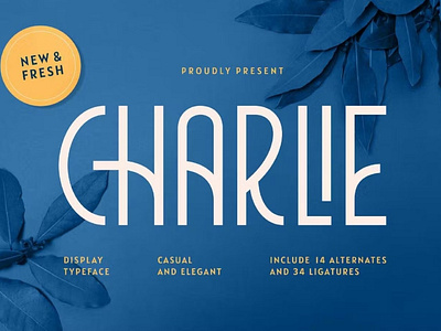 Free Vintage Modern Font - Charlie