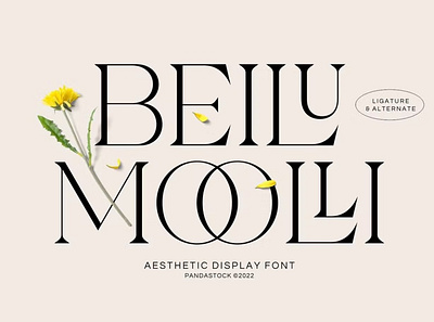 Free Beilu Mooli - Modern Retro Fonts calligraphy display font display typeface elegant font font font awesome font family fonts handwritten lettering modern font modern fonts sans serif sans serif font script serif font type typedesign typeface vintage font