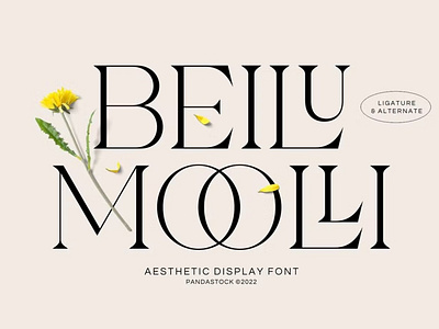 Free Beilu Mooli - Modern Retro Fonts