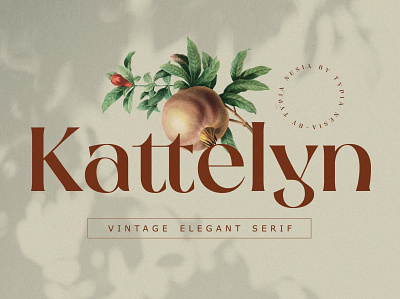 FREE Kattelyn - Vintage/Classic Beauty Elegant Serif aesthetic serif beauty elegant branding clean design display font display typeface elegant font font awesome font family lettering luxury condensed modern fonts sans serif sans serif font serif display serif font typedesign vintage font