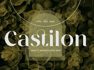 Free Castilon - Elegant Beauty Sophisticated Serif Font calligraphy display font display typeface elegant font font awesome font family fonts fontype handwritten lettering modern font modern fonts sans serif sans serif font script serif font type typedesign typeface vintage font