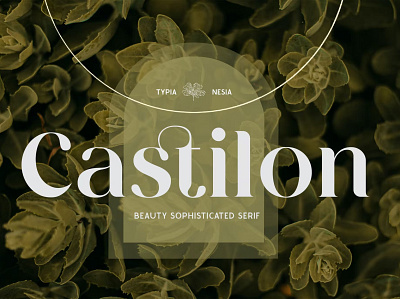 Free Castilon - Elegant Beauty Sophisticated Serif Font calligraphy display font display typeface elegant font font awesome font family fonts fontype handwritten lettering modern font modern fonts sans serif sans serif font script serif font type typedesign typeface vintage font