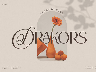 Drakors elegant font