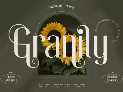 Granity Display Font