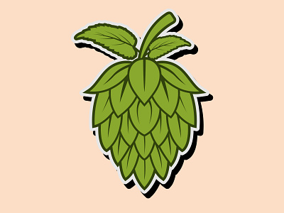 Hops flower Illustration for Beer Brewery logo