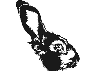 Rabbit Head Face Sketch Vector Design Inspiration animal bugs bunny coreldraw design ear farm grass head herbivore illustration logo pen tool rabbit rabbits sketch slhouette smart vector wildlife