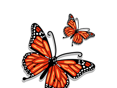 Butterfly Full Color Vector Illustration