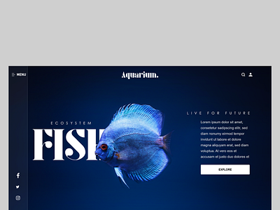 Fish website branding graphic design ui