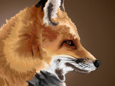 Illustration Fox fox illustration layers