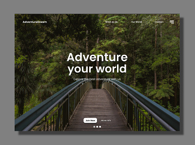 Landing Page Adventure adventure app branding company design icon illustration logo ui ux vector