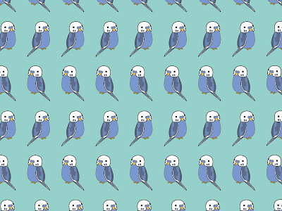 Budgie Pattern