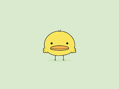 Chicky chicken cute flat design illustration illustrator