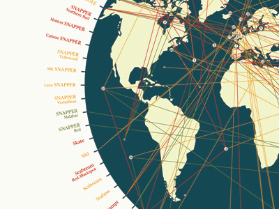 Save Our Sea (SOS) Overfishing Infographic infographic overfishing